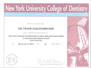 2013_NewYorkCollege_1